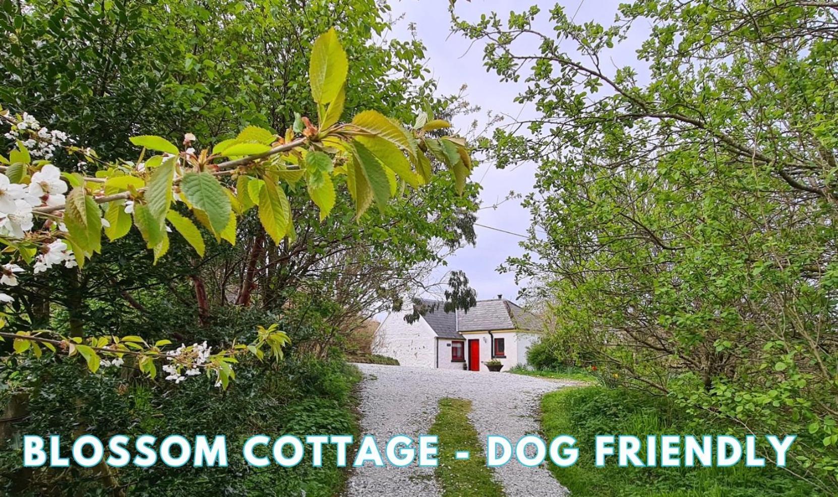 Vila Araucaria Croft Skye Dunvegan  Exteriér fotografie